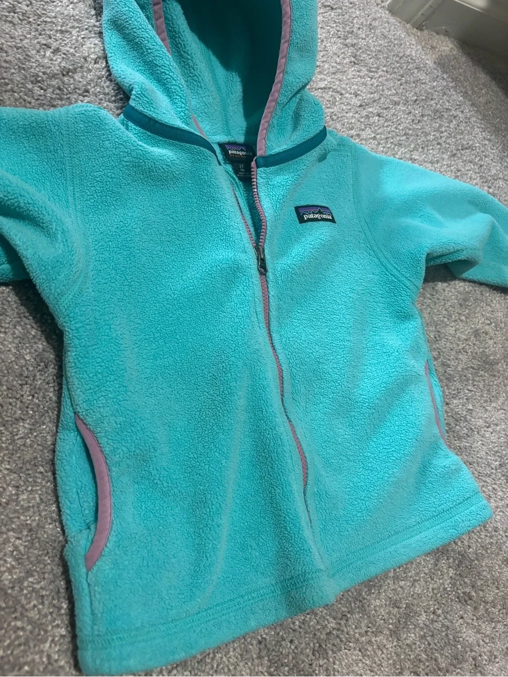 Patagonia 2T Teal Hooded Fleece Jacket